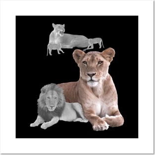 Lioness with Lion in Africa Posters and Art